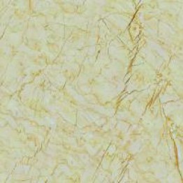 Gạch Trường Thịnh GENESIS SERIES Y88J91P